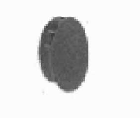 Крышка противотуманки RENAULT CLIO, 04.98-05.01